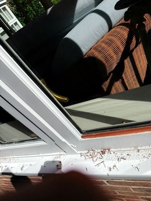 Cracked, lifting paint on conservatory glazing bead